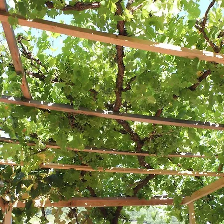 Edelnice Gæstehus Gornja Trepča