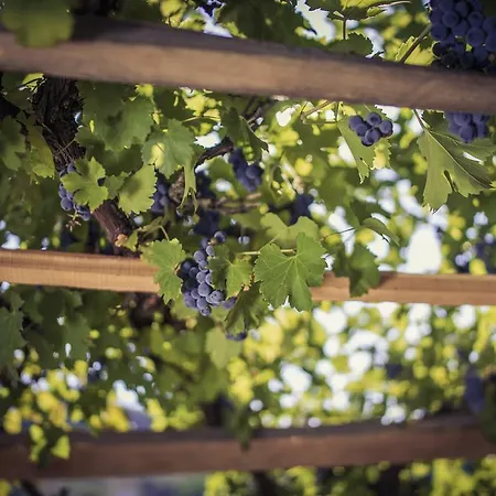 Edelnice Gæstehus *